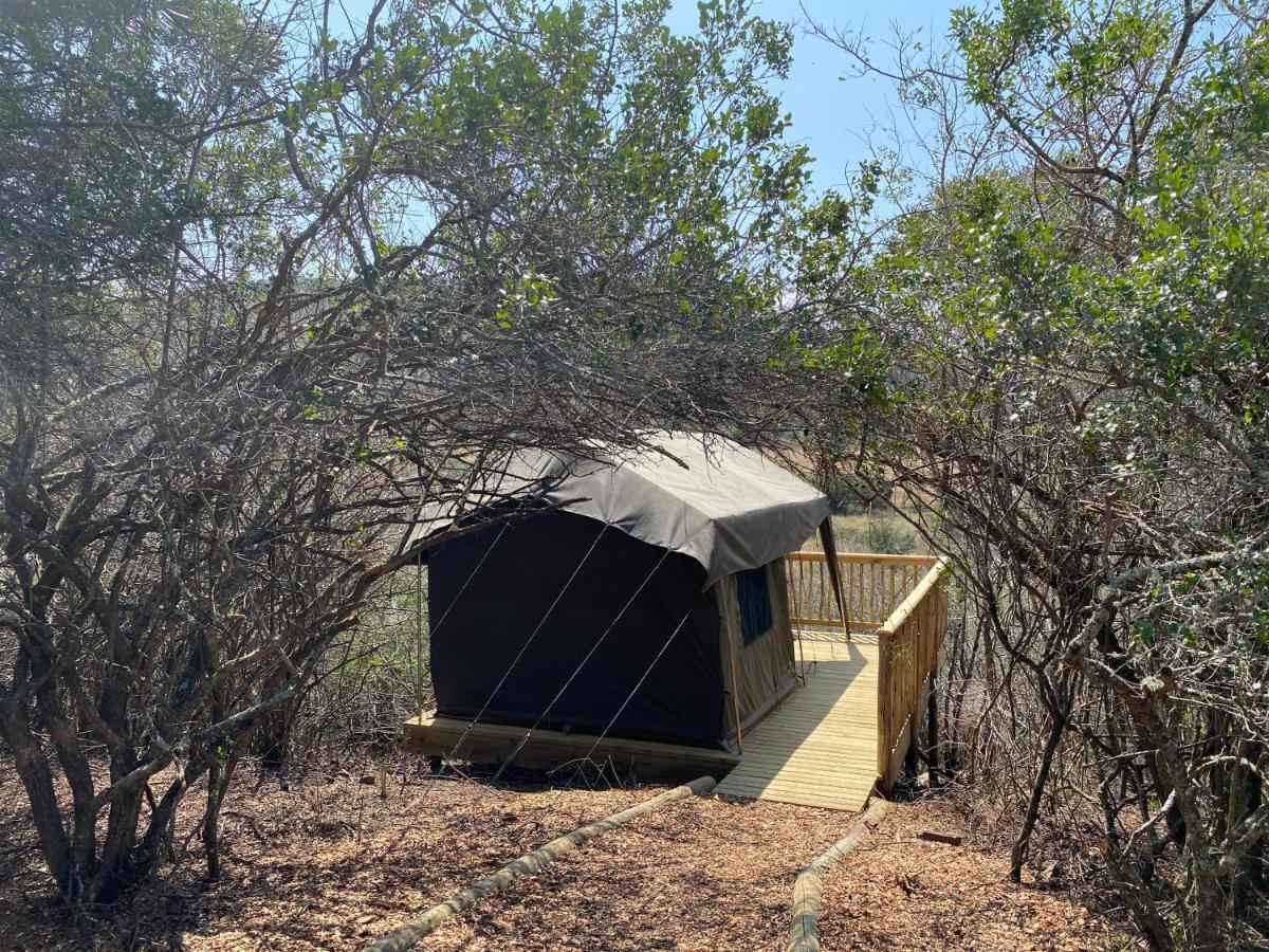Horseshoe Game Reserve East London Exterior photo